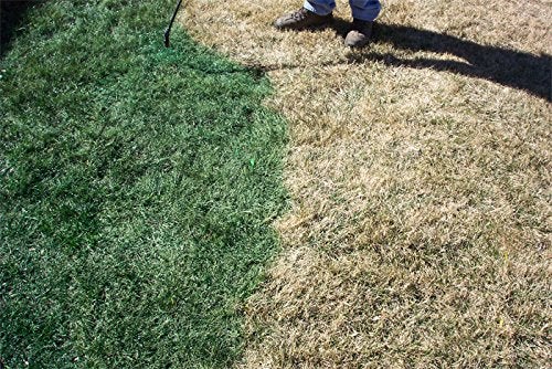 EnviroColor إنفايروكولور 4EG0032 851612002100 (1,000 قدم مربع) طلاء العشب والنباتات 4Evergreen، أخضر - Image 4