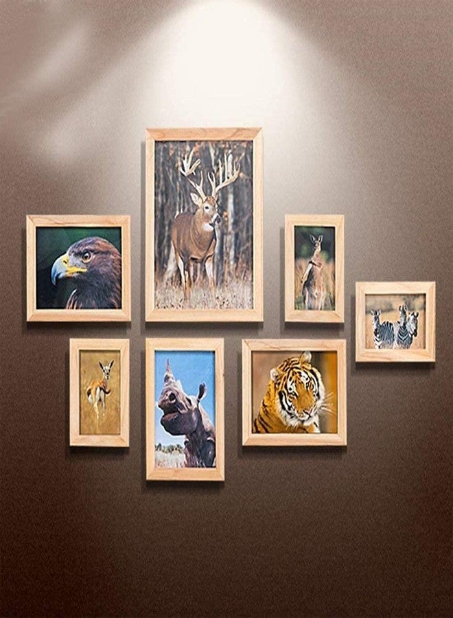 DIY Crafts Pack of 3 Sets, Hanger Picture + Screw, Hanger Picture Frame Hanging Hanger Double Hole with Screws for GIF (Pack of 3 Sets, Hanger Picture + Screw) - Image 5