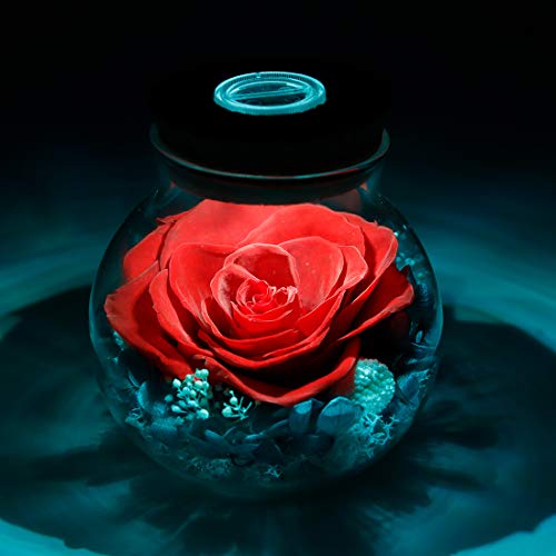 roliys Preserved Real Roses with Colorful Mood Light Wishing Bottle, Eternal Rose，Never Withered Flowers, Table Decor,Christmas Anniversary Valentine's, Red 4.3inch, 1pcs - Image 5