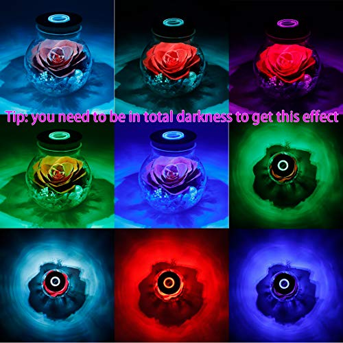 roliys Preserved Real Roses with Colorful Mood Light Wishing Bottle, Eternal Rose，Never Withered Flowers, Table Decor,Christmas Anniversary Valentine's, Red 4.3inch, 1pcs - Image 4