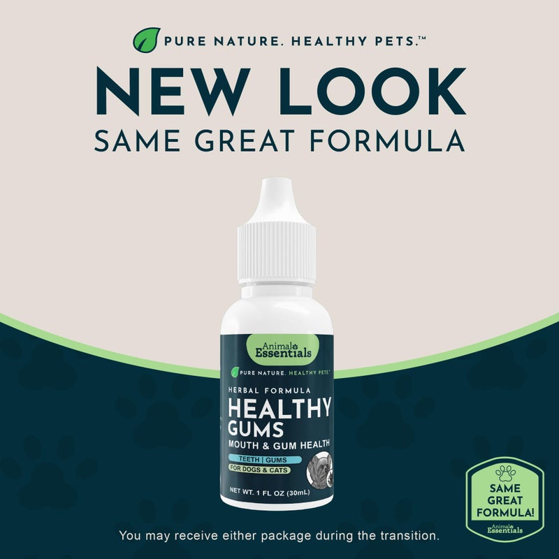 Animal Essentials Healthy Gums for Dogs & Cats - Dental Care, Mouth & Gum Support, Dental Drops, All Natural Pet Supplement, Oral Care - 1 Fl Oz - Image 2
