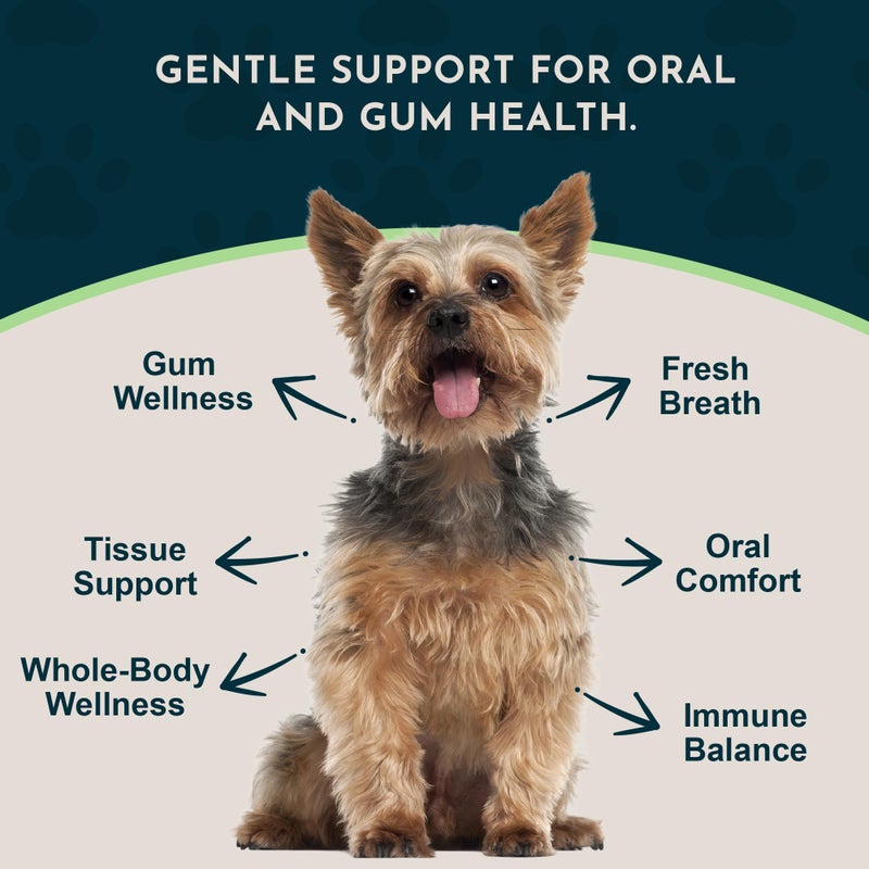 Animal Essentials Healthy Gums for Dogs & Cats - Dental Care, Mouth & Gum Support, Dental Drops, All Natural Pet Supplement, Oral Care - 1 Fl Oz - Image 3