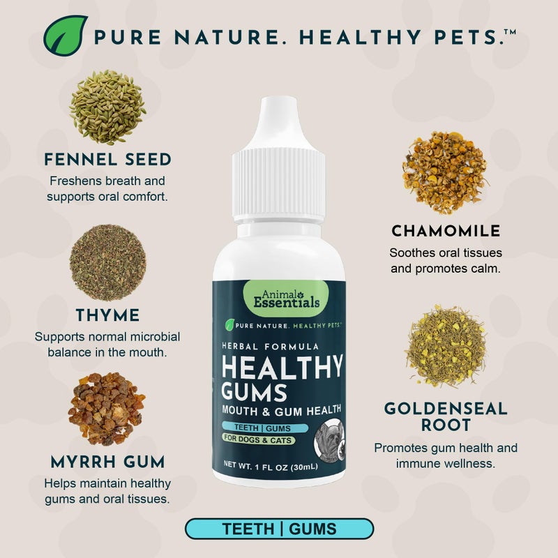 Animal Essentials Healthy Gums for Dogs & Cats - Dental Care, Mouth & Gum Support, Dental Drops, All Natural Pet Supplement, Oral Care - 1 Fl Oz - Image 4