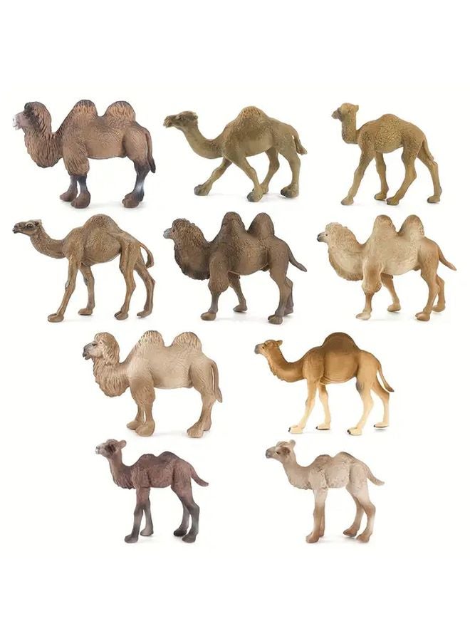 تمثال جمل صحراوي واقعي موديل 131 - جمل صغير لعبة تعليمية لتطوير الإدراك - Image 4