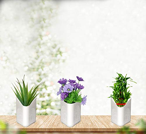 TechHark Wall Hanging Flower Pots for Home and Garden Decoration - Front H- 4", Back H- 6.5", Side Width- 5.5", Back W- 5" (Pack of 12) |White - Image 2