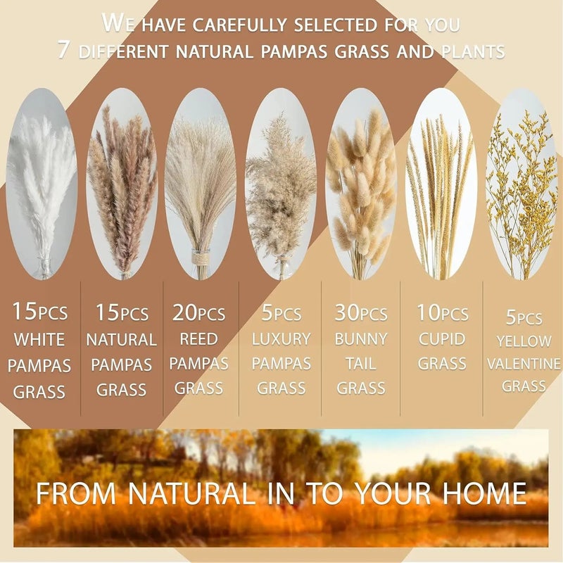 Bluejw G62 Boho Western Wedding Decor - Dried Pampas Grass Bouquet & Elegant Floral Arrangements for Home Table Decorations & Natural Dried Plants - Image 3