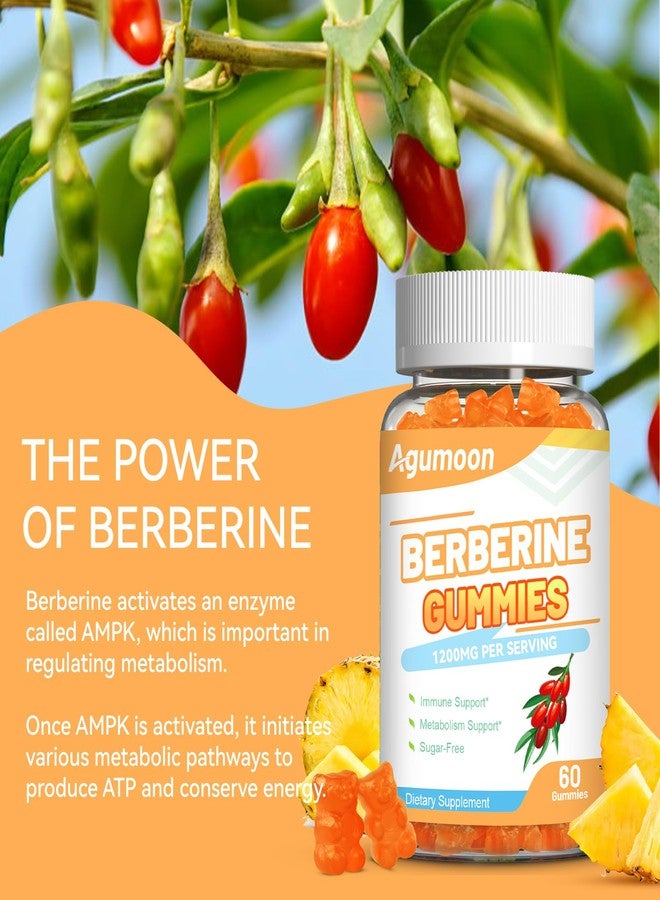 Agumoon Berberine Gummies 1200mg, High Potency Berberine Supplement with Ceylon Cinnamon for Immune System & Metabolism Support, Sugar Free, Vegan, Pineapple Flavor, 60 Count - Image 2