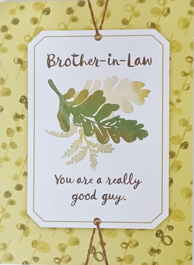 Greeting Card Brother-in-Law You Are A Really Good Guy - Hope You Have Day That's Full of All The Happy Things A Birthday Can Bring - Image 1