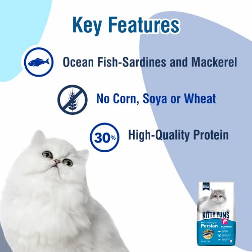 Kitty Yums Adult Persian Dry Cat Food 1.2kg Pack | Ocean Fish Flavour | Develop Strong Bones | Strong Immune System | Strong Vision Development Support Digestive Health - Image 5