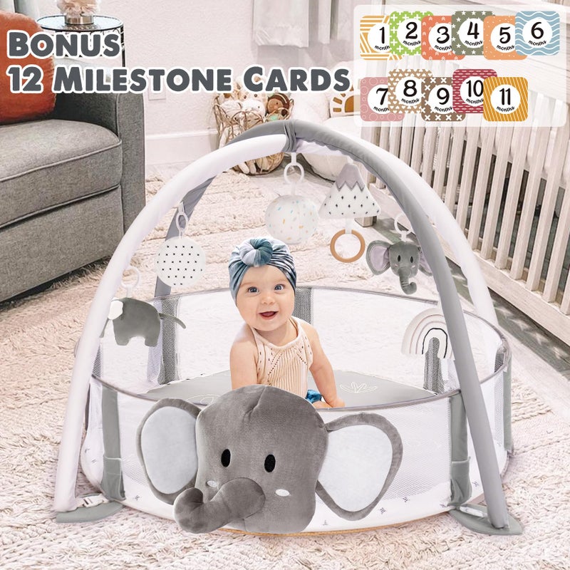 Mallify 5-in-1 XL Large Baby Gym & Ball Pit, Play Mat & Play Gym, Combination Baby Activity Gym with Milestone Cards for Sensory Exploration and Motor Skill Development, Balls are not Included - Image 2