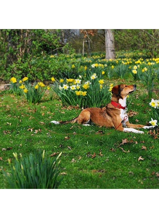 كابل ربط ثقيل للكلاب حتى وزن 125 رطلاً، بطول 20 قدمًا للكلاب الكبيرة والكبيرة - Image 4