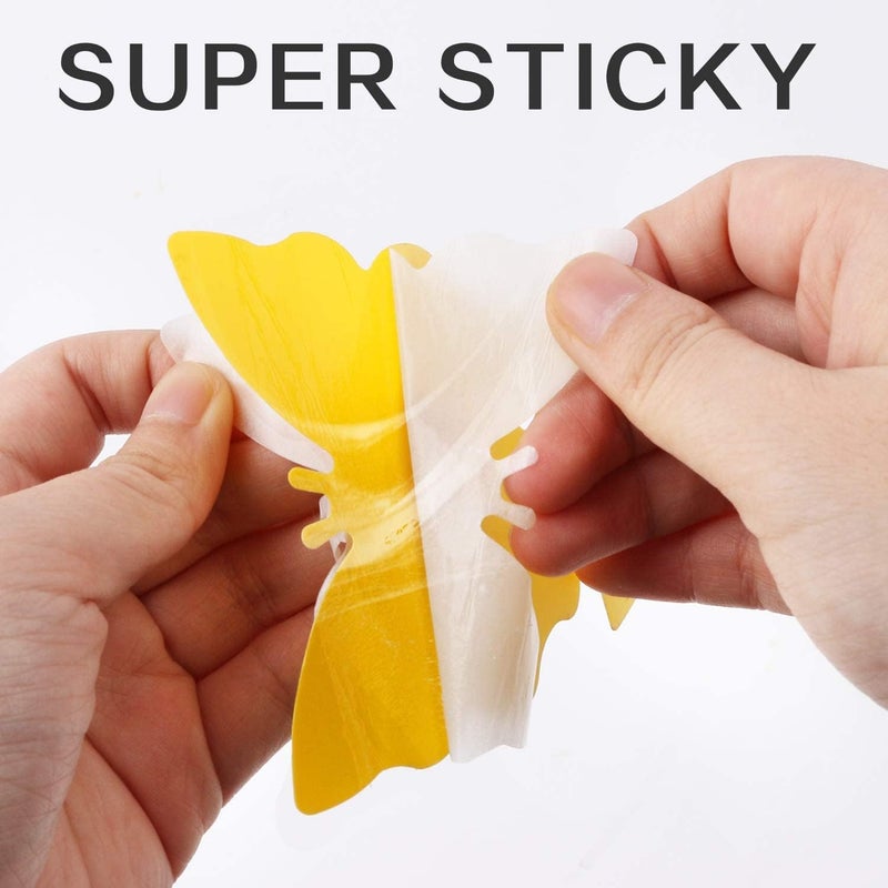 Mosqueda Fruit Fly Traps Fungus Gnat Traps Yellow Sticky Bug Traps 36 Pack No Harm and Odorless for Indoor Outdoor Use Protect The Plant - Image 4