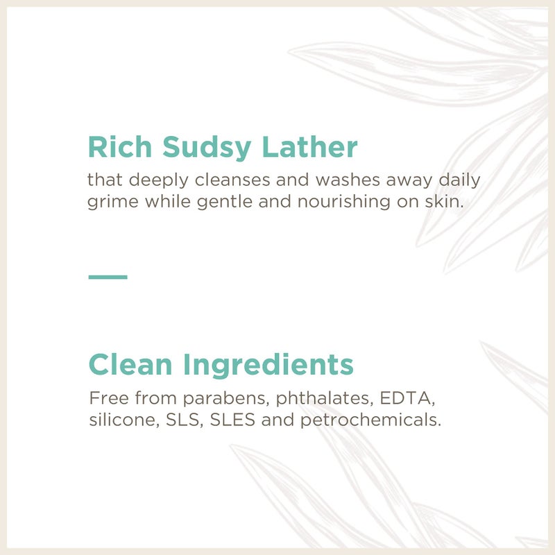 Soapbox Foaming Hand Soap Aloe Water & Sage, 11oz Pump Bottles 3 Pack, Cruelty Free, Vegan Moisturizing Foaming Hand Wash for Kitchen & Bathroom - Image 4