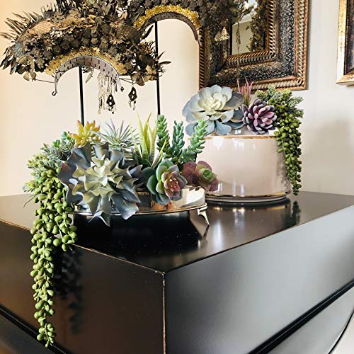 caqpo Artificial Succulents - 15 Pack - Premium Unpotted Succulent Plants Artificial - Realistic Textured Succulents - Fake Succulent Plants for DIY - Feaux Faux Cactus Plant Bulk - Image 5