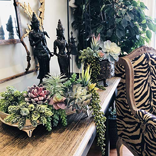 caqpo Artificial Succulents - 15 Pack - Premium Unpotted Succulent Plants Artificial - Realistic Textured Succulents - Fake Succulent Plants for DIY - Feaux Faux Cactus Plant Bulk - Image 4