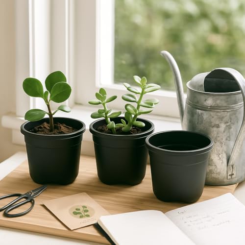 Ugaoo Garden Plastic Pots for Indoor Plants (6 inch, Black Color, Set of 3) - Image 1