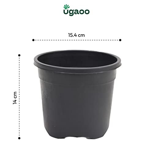 Ugaoo Garden Plastic Pots for Indoor Plants (6 inch, Black Color, Set of 3) - Image 4