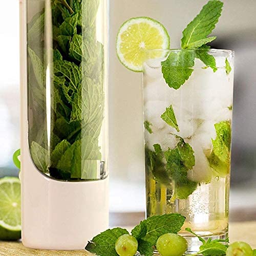AASTIK SALES Plastic Herb Saver Pod For The Fridge Small Produce Saver Food Storage Container Vegetable Keeper Herbs Storage Bpa Free Vegetable Container Keep Fresh Herb Saver - Image 5