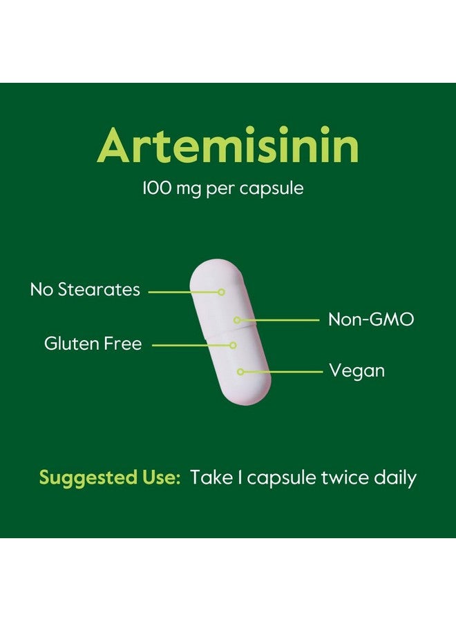 BESTVITE Artemisinin 100mg (240 Vegetarian Capsules) (2-Pack) - No Stearates - No Flow Agents - Vegan - Gluten Free - Non GMO - Image 5