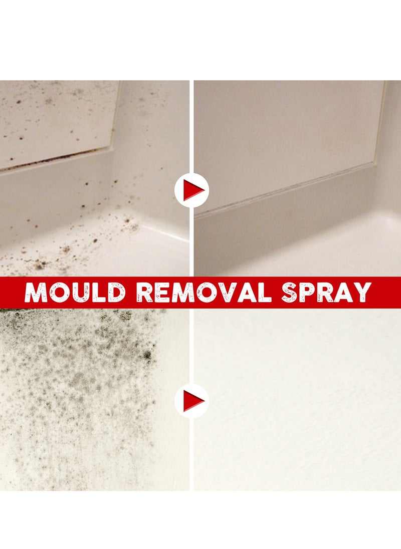 EELHOE Mold removal spray furniture tile floor mildew removal cleaner wall wall anti-mold and mildew removal cleaner 100ml  - Image 3