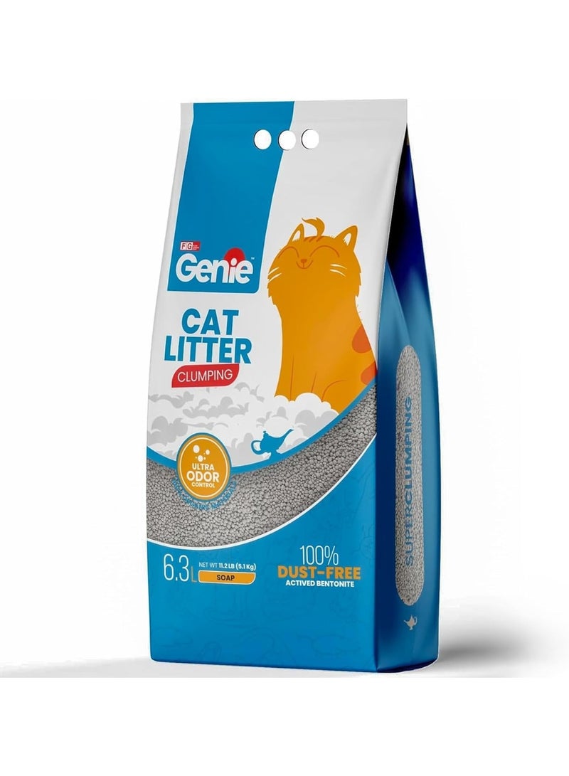 جيني جينـي™ فضلات القطط الفاخرة برائحة الصابون – تكتل فائق السرعة خلال 6 ثوانٍ، خالية من الغبار 100%، تحكم قوي بالروائح، طين البنتونايت الطبيعي، قليلة التبعثر، مناسبة لعدة قطط، 5.1 كجم (6.3 لتر) - Image 1
