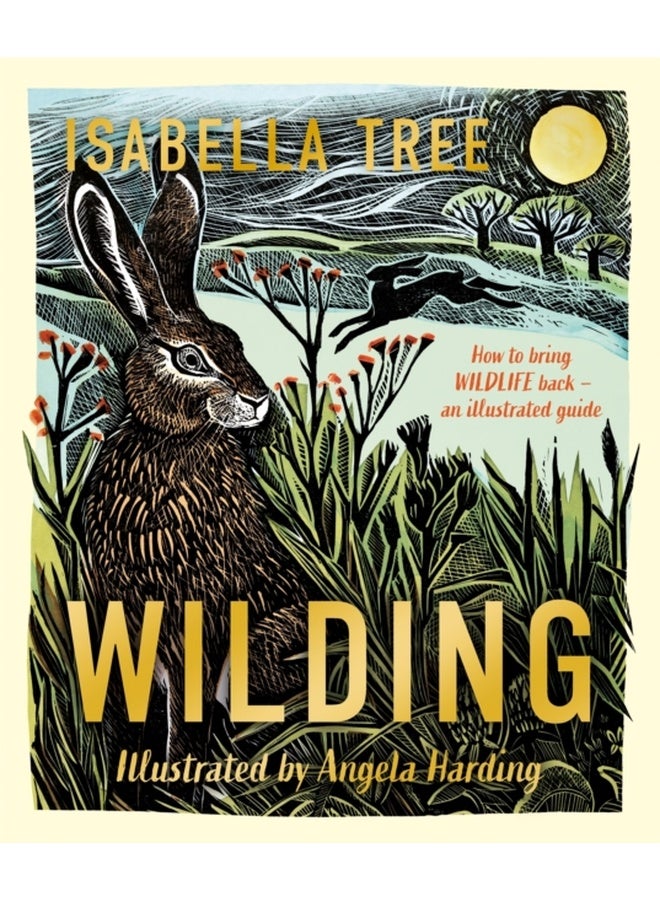 Wilding: How to Bring Wildlife Back - an Illustrated Guide 