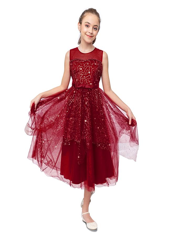 babyqlo Embroidered Tulle Dress - Image 1