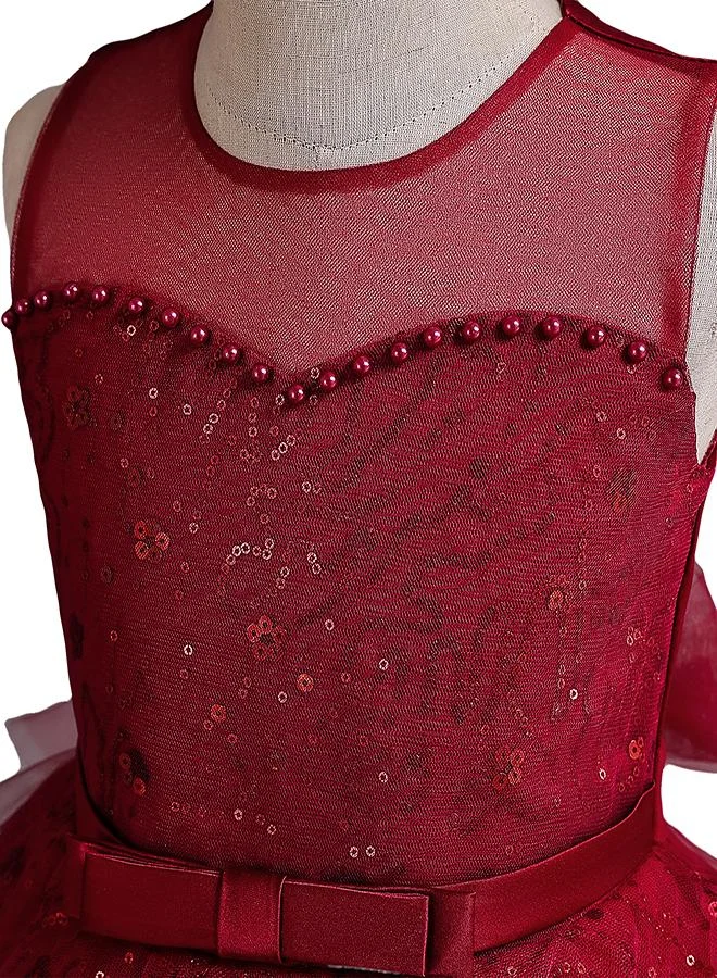 babyqlo Embroidered Tulle Dress