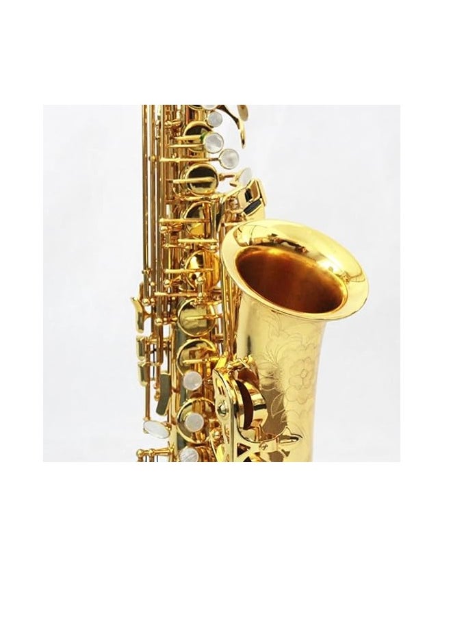 MegArya Professional High Grade Alto Saxophone for Sale Gold Lacquered Saxophone Complete Set - pzsku/Z39C770CB427069582ECBZ/45/_/1719997547/7c6d5fd8-254b-4833-8cf7-910c88a6e80a