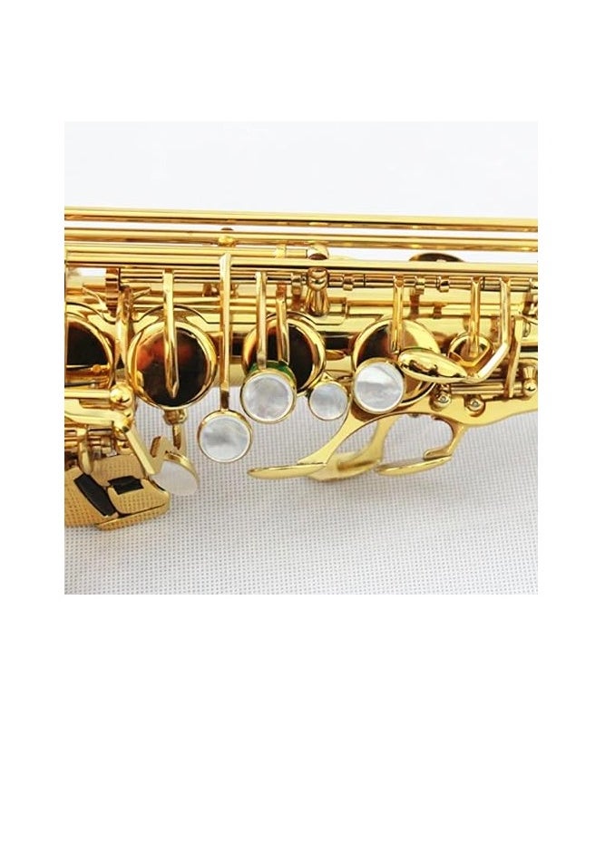 MegArya Professional High Grade Alto Saxophone for Sale Gold Lacquered Saxophone Complete Set - pzsku/Z39C770CB427069582ECBZ/45/_/1719997567/c2a02967-705a-456b-950b-214738f26a8c