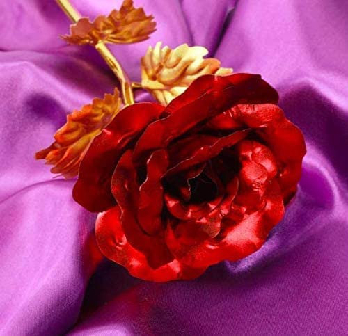 Saugat Traders Love Gift For Girlfriend Combo - Golden Rose & Dairy Milk Silk Chocolate - Valentine Day-Birthday-Rose Day Gift Proposal - Image 4