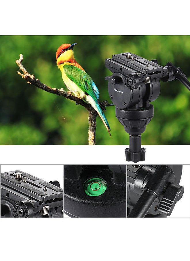 Kingjoy - KINGJOY VT-2500 Professional Mg-Al Alloy Video Photo Tripod Kit 360°Panorama Pan Fluid Ball Head for DSLR Camera Video Recorder DV Max Height 61 Inch Max Load 15KG - Image 1