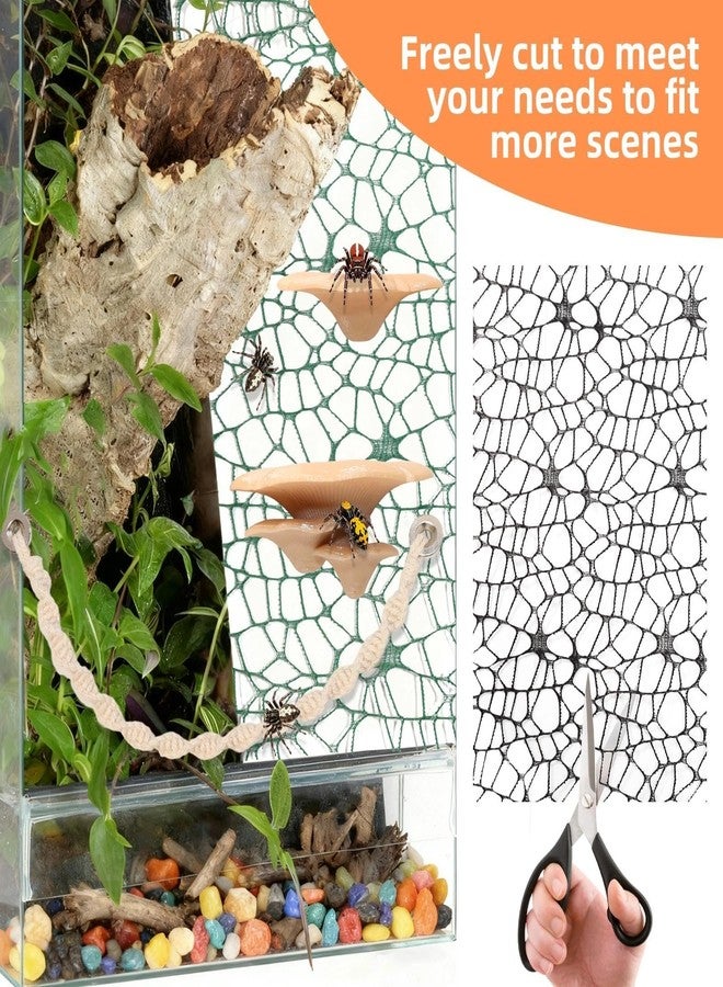 Hollima 8 Pcs Jumping Spider Hide Enclosure Habitat, Spiders Hideout Climbing Rope Bridge Swings & Web, Mushroom Shelf, Jump Platform with Magnets for Pet Spider Habitat Accessories - Image 5