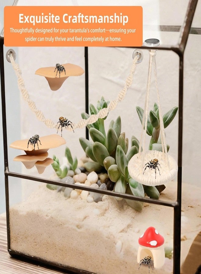 Hollima 8 Pcs Jumping Spider Hide Enclosure Habitat, Spiders Hideout Climbing Rope Bridge Swings & Web, Mushroom Shelf, Jump Platform with Magnets for Pet Spider Habitat Accessories - Image 4
