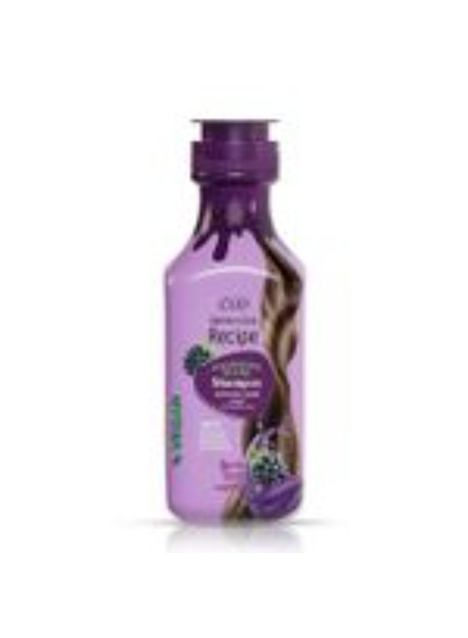 Eva Optimum Care Recipe Hydrating Blend Berry Shampoo
