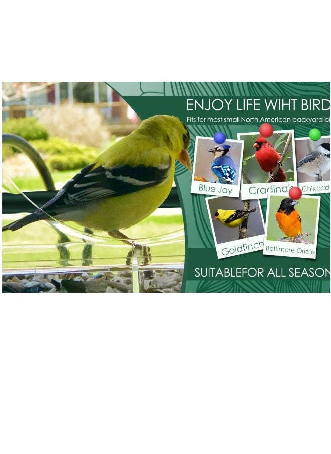 Generic - Window Bird Feeder for Outside, Roof Shape Clear Acrylic Hanging Window Bird Feeder with 4 Strong Extra Suction Cups and Seed Tray, for Decorate Your House with Beautiful Wild Birds - Image 1