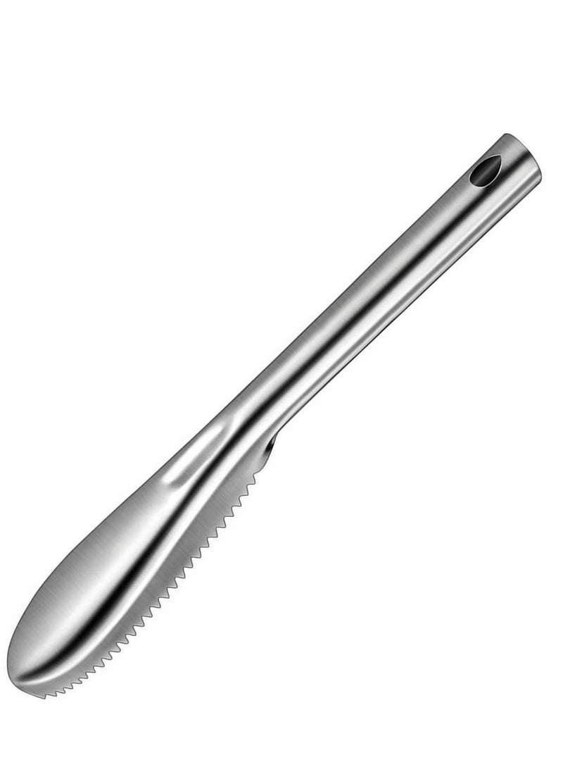 NIBEMINENT Fish Scaler Stainless Steel Remover with 58 Sawtooth Easily Remove Scales Descalers Scraper for Chef and Home Cooks  - Image 1