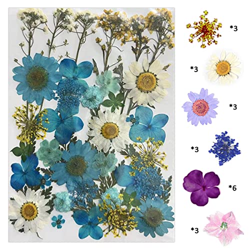 YellowCult Natural Real Dried & Pressed Flowers for Art Craft - Mixed, Multicolor for Soap, Candle, Scrapbooking, DIY, Resin Jewelry, Pendant - [Luxury White & Blue 18x13 cm Sheets] - Image 1