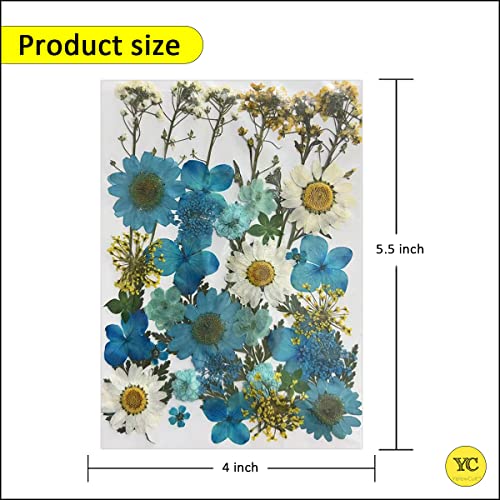 YellowCult Natural Real Dried & Pressed Flowers for Art Craft - Mixed, Multicolor for Soap, Candle, Scrapbooking, DIY, Resin Jewelry, Pendant - [Luxury White & Blue 18x13 cm Sheets] - Image 2