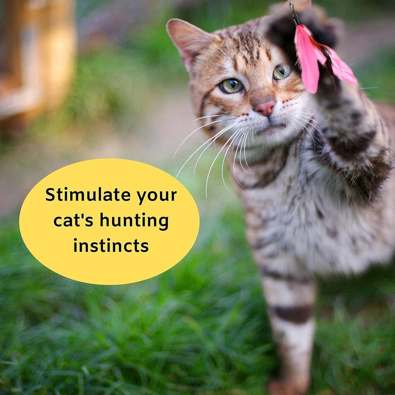 Qpets® ® Cat Interactive Toys Set with Retractable Teaser Wands and Feather Worm Toys Kitten Toys Variety of Vibrant Colours Activity Toys to Exercise Cats and Kittens - Image 3