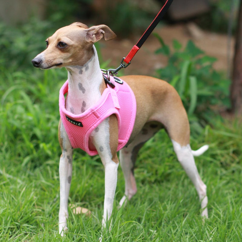 PUPPIA International Puppia Harness Soft B Vest Pink Medium - Image 4