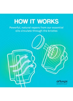 drTung's DrTung's Snap-On Toothbrush Protector, Releases Vapor from Essential Oils to Help Protect your toothbrush (2 Pack) (colors may vary)  - Image 3