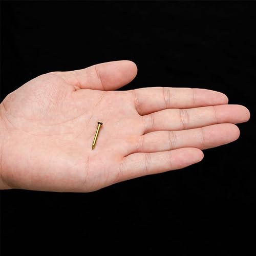 Hardware Philosophy Pure Brass Nails, 0.8 Inch, Bag of 100 - Architectural, Interior Design, Doors, Furniture Cabinet Customization Hardware - Image 5