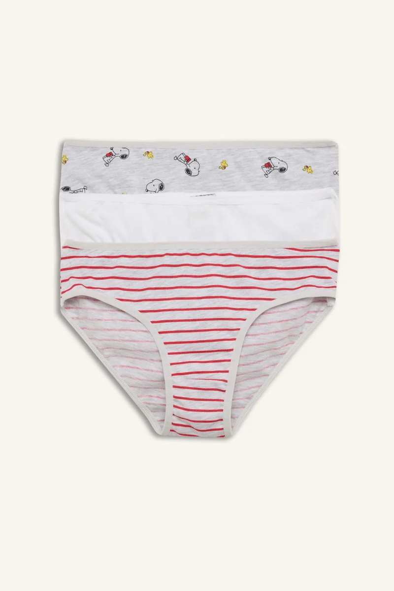 DeFacto Girl 3 piece Snoopy Licensed Animal Print Slip Panties