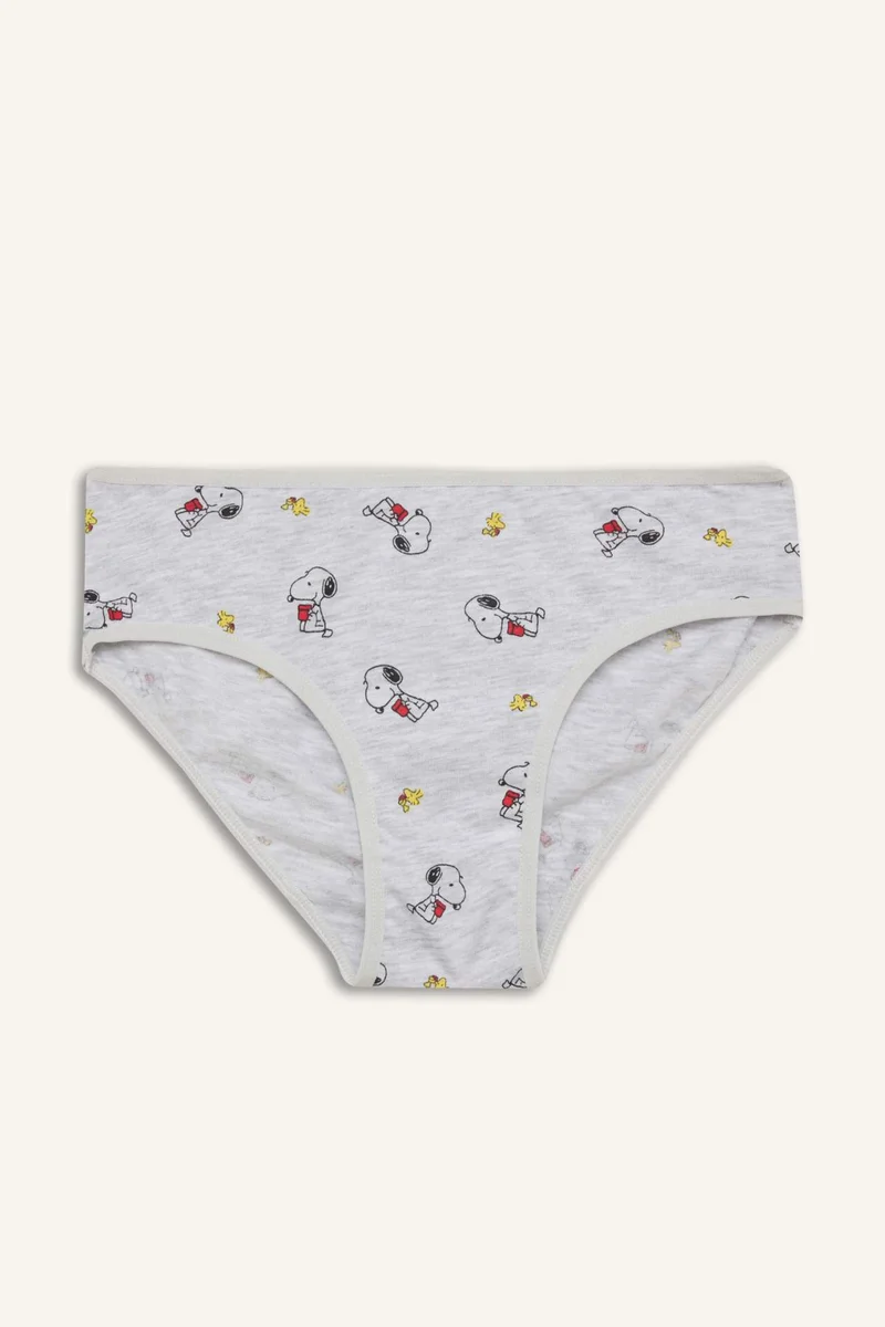 DeFacto Girl 3 piece Snoopy Licensed Animal Print Slip Panties
