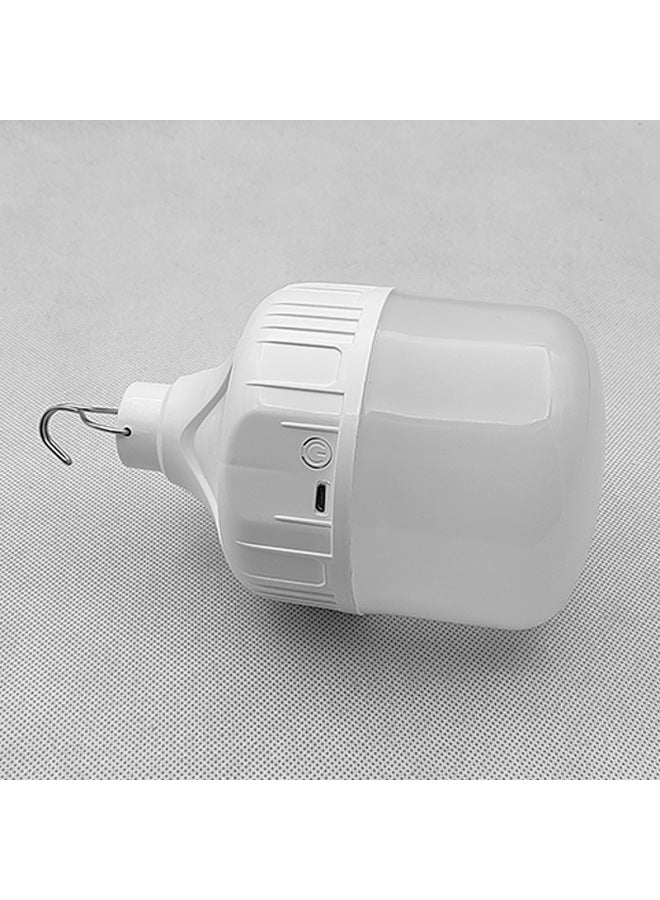 LED Power Outage Home Charging Light Bulb Super Bright Waterproof Night Market Usb Outdoor Lawn Light Stall Light Wireless Lighting