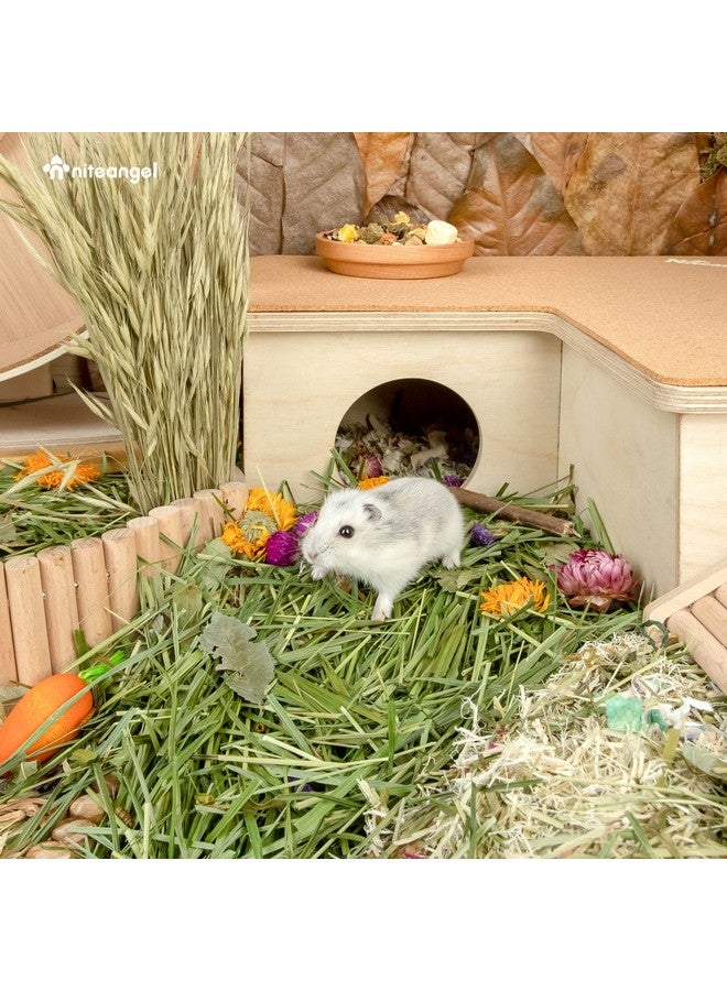Niteangel Natural & Soft Hamster Bedding Mate Small Animal Habitat Decor for Syrian Dwarf Hamsters Gerbils Mice Degus Bunny or Other Small-Sized Pet (Orchard Grass & Flower) - Image 5