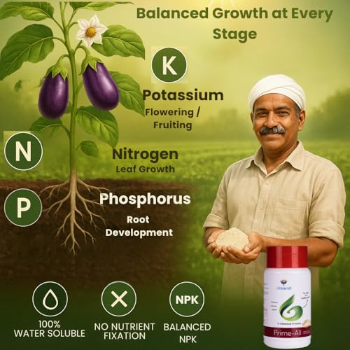 Utkarsh Prime All - Amino Acid Chelated Mix - Nitrogen, Phosphorus, Potassium (100% Water Soluble Chemical for Foliar Spray) (250 gm; Pack of 1) - Image 2