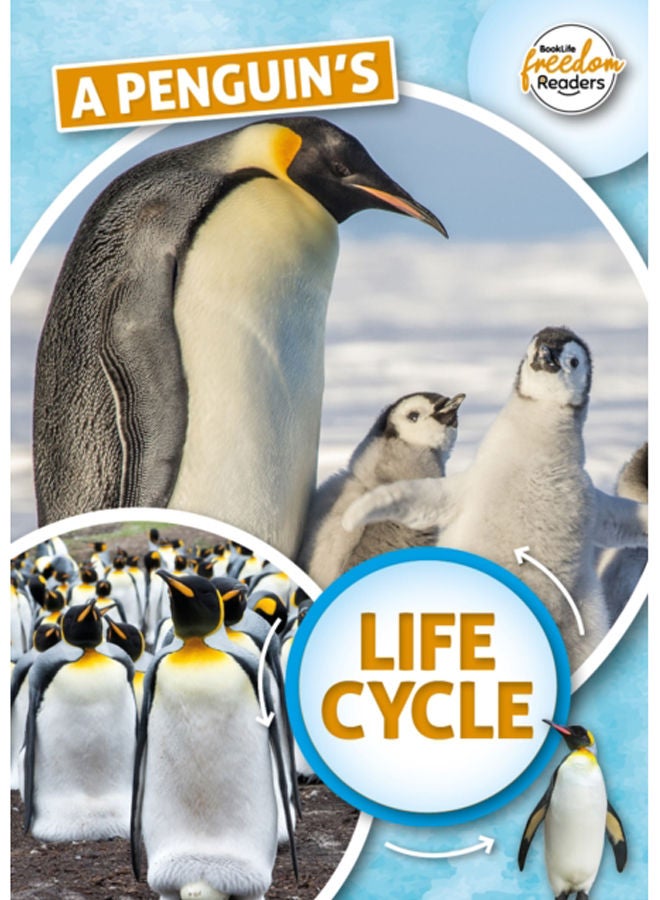 A Penguin's Life Cycle 