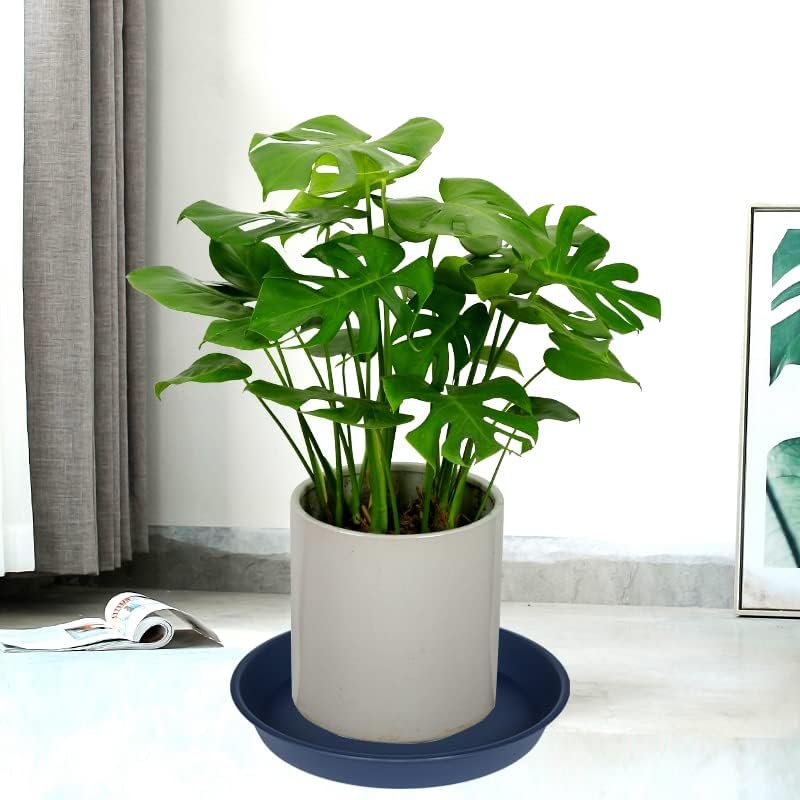 Bleuhome 2 Pack of 18 19 inch Plant Saucer Drip Tray (16.6 inch Base), Heavy Duty Deep Plant Saucers for Pots, Plastic Flower Planter Water Trays for Indoors Outdoor (19", Blue) - Image 5